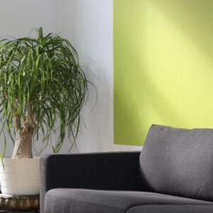 Variety Plant Pattern - 画像 (3)