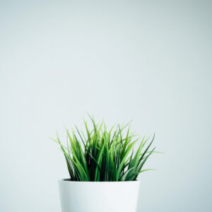 Indirect Lighting - 画像 (3)