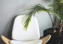 Variety Plant Pattern